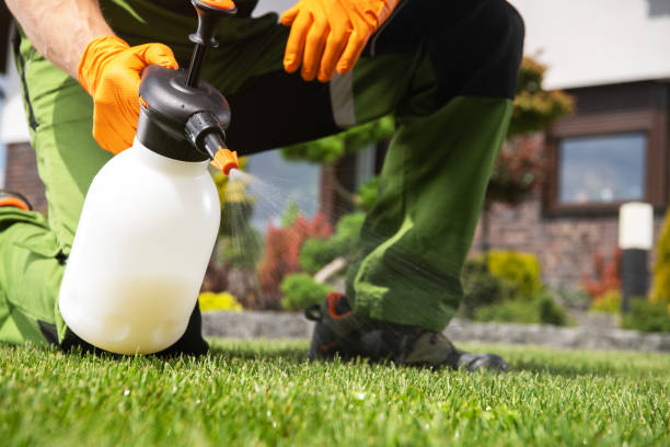Best Exterminator Services  in Verona, MS