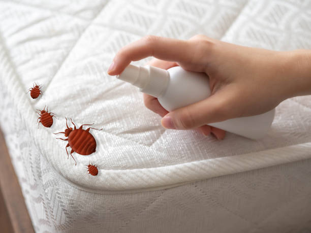 Best Pest Removal Services  in Verona, MS