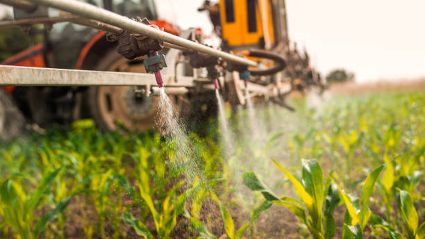 Best Pest Inspection Near Me  in Verona, MS